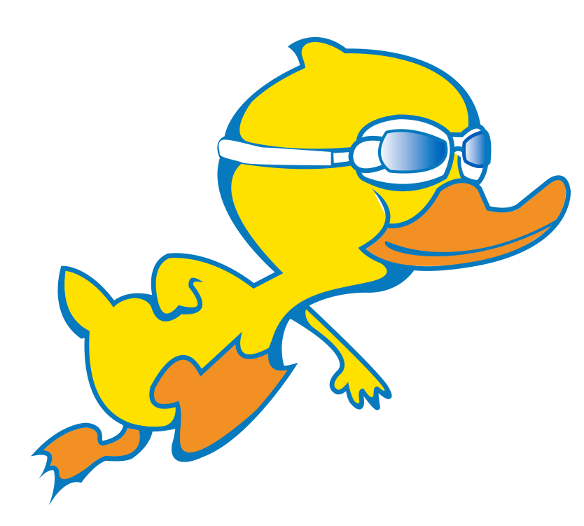 thss-home-page-duck Duck Hockey Icon